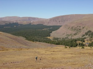 Above Deadman Lake area