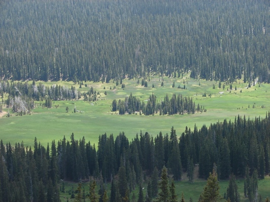 View from pass looking down into Lakeshore Basin