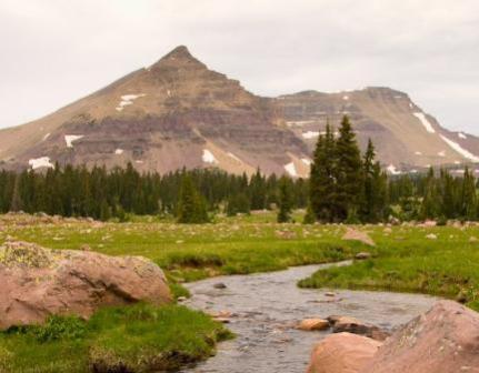 Upper Rock Creek