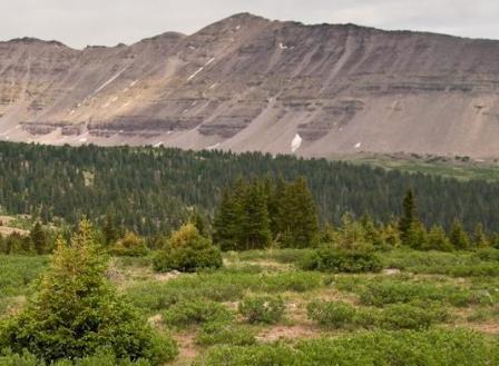 Yellowstone Basin