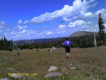 Fun on the grassy slope