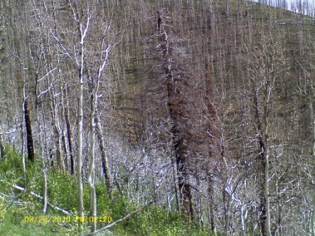 Burned slopes as seen during the day