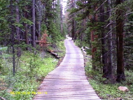 Long ATV boardwalk