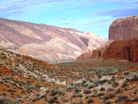 Waterpocket Fold on left, Halls Mesa on Right