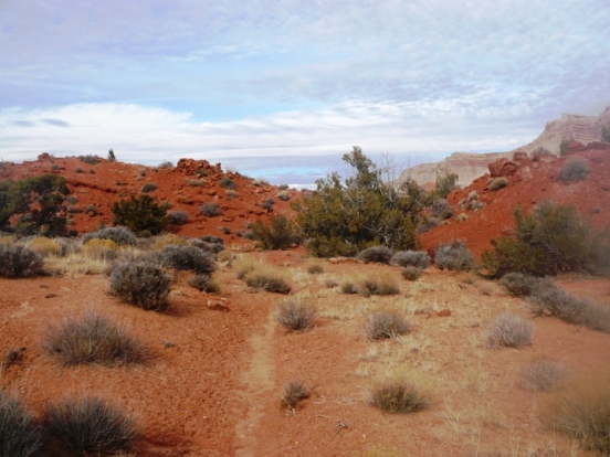 Halls Crossing Wagon Trail