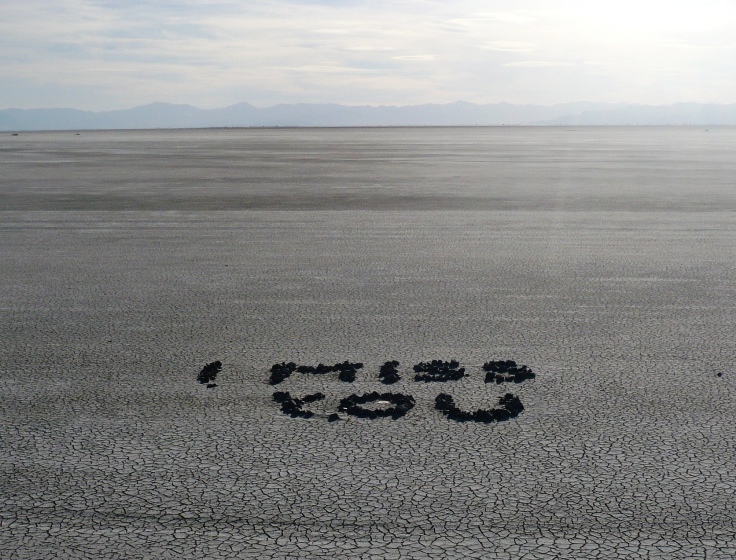 "I miss you"  Did Kevin write this?  ha, ha